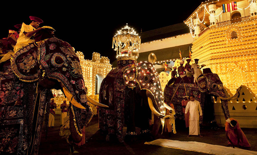 Kandy Perahera