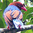 Endemic Birds
