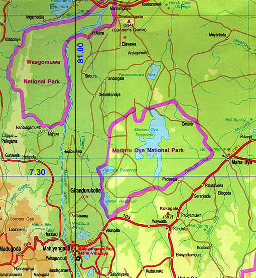 60n803e.jpg (109120 bytes)