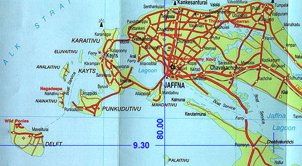 60n803e.jpg (109120 bytes)